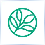 Evergreen Valley College