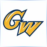 George Washington University