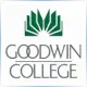 Goodwin University - Nursing School Ranking