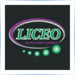 Liceo de Arte Dise O y Comercio