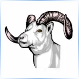 Little Big Horn College